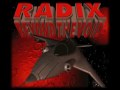 Radix: Beyond the Void (PC)