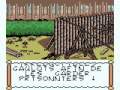 Obelix (Game Boy Color)