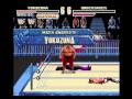 WWF WrestleMania: The Arcade Game (Genesis)