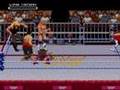 WWF Raw (SNES)