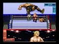 HammerLock Wrestling (SNES)