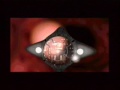 Microcosm (3DO)