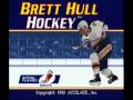 Brett Hull Hockey (SNES)