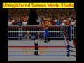 WWF Raw (Genesis)