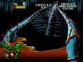 Battletoads (Arcade Games)