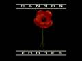 Cannon Fodder (Amiga CD32)