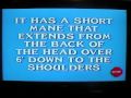 Jeopardy! Deluxe Edition (Genesis)