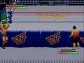 WWF Royal Rumble (SNES)