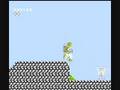 Cheetahmen II (NES)