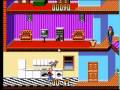 Home Alone (Sega Master System)