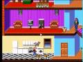 Home Alone (Sega Master System)