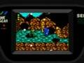 Battletoads (GameGear)