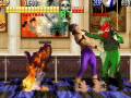 Survival Arts (Arcade Games)