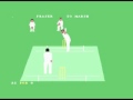 Allan Border's Cricket (Commodore 64)