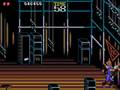 Ninja Gaiden (Genesis)