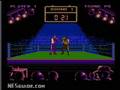 Best of the Best: Championship Karate (NES)