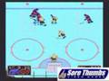 NHLPA Hockey 93 (SNES)