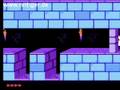 Prince of Persia (NES)