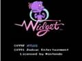 Widget (NES)