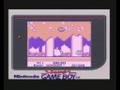 Kirby's Dream Land (Game Boy)