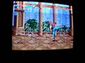 Mutation Nation (NeoGeo)