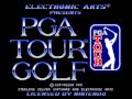 PGA Tour Golf (SNES)