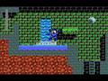Mega Man 3 (PC)