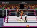 WWF Raw (GameGear)