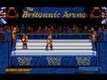 WWF European Rampage Tour (Amiga)