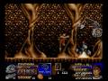 Risky Woods (Amiga)