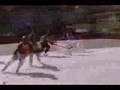 Hockey (Lynx)
