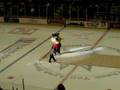 Hockey (Lynx)