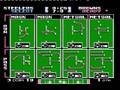 Tecmo Super Bowl (NES)