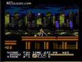 Vice: Project Doom (NES)