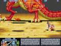 The King of Dragons (Arcade Games)