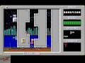 Duke Nukem (PC)