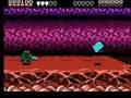 Battletoads (NES)