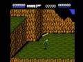 Battletoads (NES)