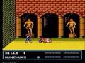 Double Dragon III: The Sacred Stones (NES)