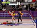 WWF Wrestlemania (PC)