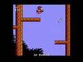 Big Nose the Caveman (NES)