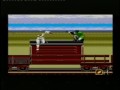 Shadow Dancer (Sega Master System)