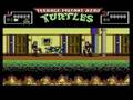 Teenage Mutant Hero Turtles (Commodore 64)