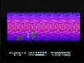 Street Fighter 2010 (NES)
