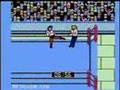 WCW World Championship Wrestling (NES)