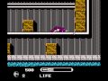 Wrath of the Black Manta (NES)
