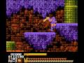 Astyanax (NES)