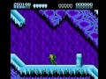 Arctic (NES)