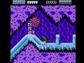 Arctic (NES)