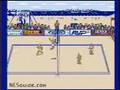 Kings of the Beach (NES)